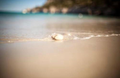 Sunny Stylish Spacious Loft in Old-Port - Foto 45