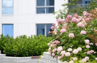 5 min do Skweru! Baltic Sands Premium Apartments - Free Parking - Photo 16