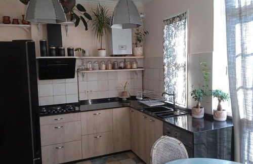 Piso Iwvaxi, gallery house. Ourense. - Foto 6