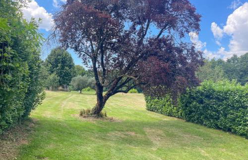 Casale Geos in Capannori - Foto 84