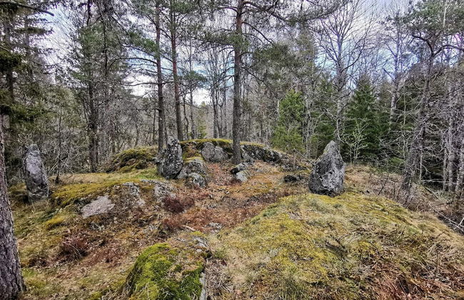 4 Person Holiday Home in Dals Rostock - Foto 17