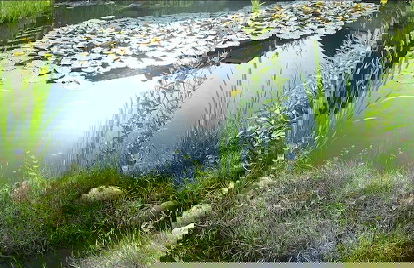 Gästehaus Pfennigmann - Foto 9