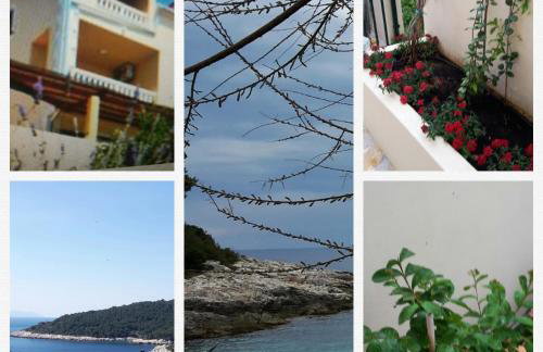 Apartments Punta Milna - Photo 1