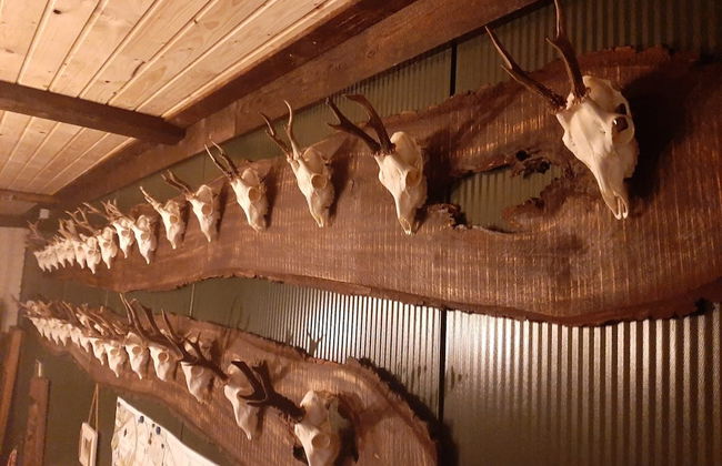 Ottenskamp4 en Het Achterhuis - Photo 47