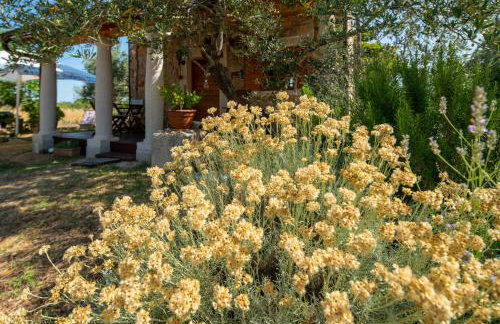 Villa Flaveico - Photo 43