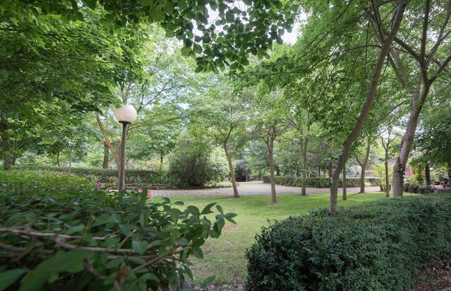 Il Castagno dell'Etna - Foto 70