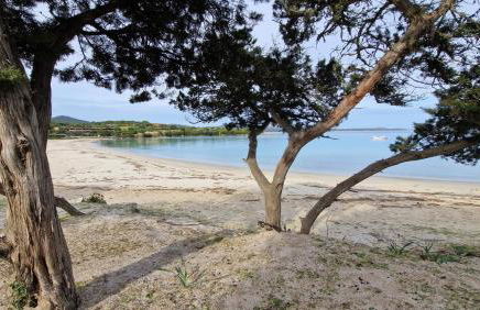 Dòmo a Palàttu casa vista mare a Porto Rotondo - Photo 36