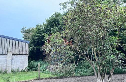 Stable Cottage, Old Mill Farm, Cotswold Water Park - Foto 35