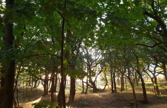 Apartment in Oostkapelle Near the Beach - Foto 33