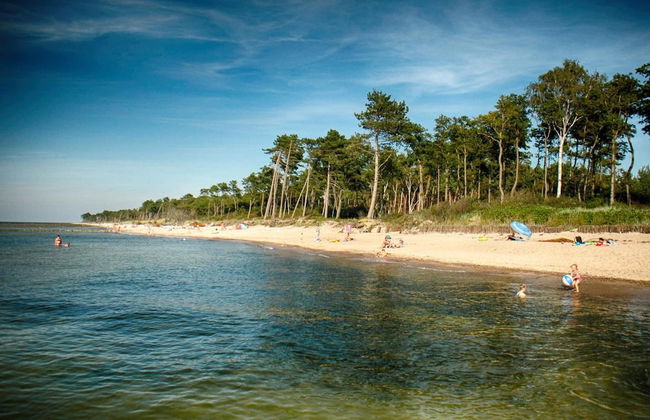 Cozy Studio 1 at the Seaside Agrotourism - Foto 37