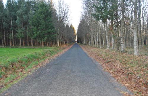 Casa Loisiana - Foto 37