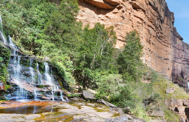 Strawberry Patch - Foto 64