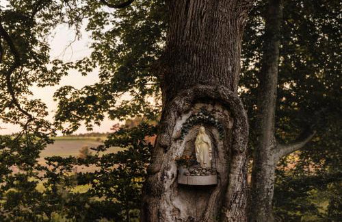 Dymnica 5- dom wakacyjny blisko Sasina i Łeby - Foto 46