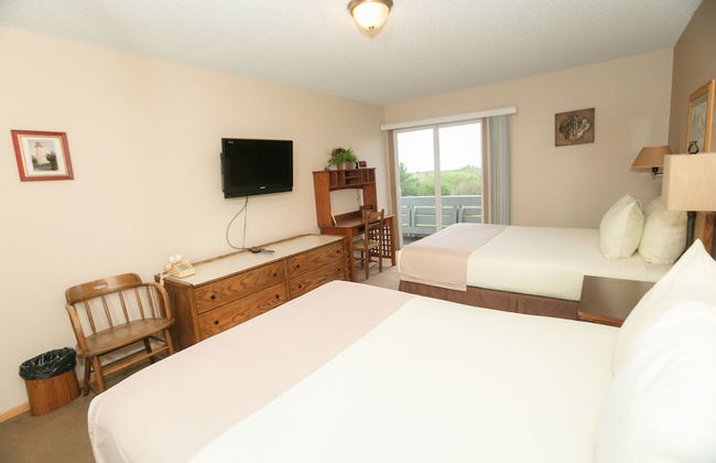 The Grey Gull - Foto 10