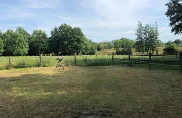 Das Ministerhaus - 1-2 Zimmer in historischer Villa - Foto 24