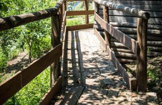 Azienda Agricola Biologica La Cardellina - Foto 73