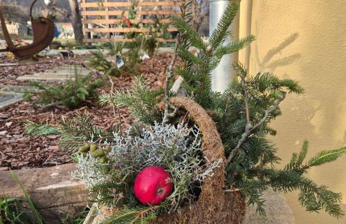 Ferienwohnung Hochwald - Foto 23