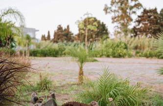 Manolis Seaside Villa with Private Pool - Foto 31