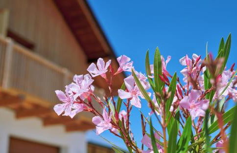 Ferienwohnung Zimmer Tittmoning Stadtplatz 27 - Foto 7