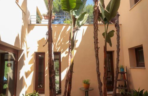 Casa Boticario - Photo 14