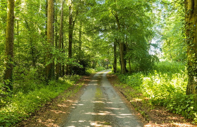 The Old Stables at Moyglare Manor - Foto 29