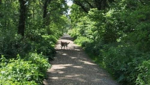 Annexe with Courtyard & Hot Tub Option - Foto 5