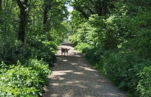 Annexe with Courtyard & Hot Tub Option - Foto 6