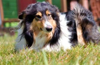 Osrodek Nadmorski Osieki - Foto 12