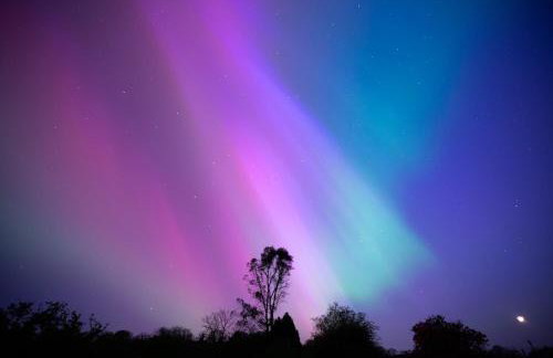 Sweet Pea Cottage, Amroth - Foto 46