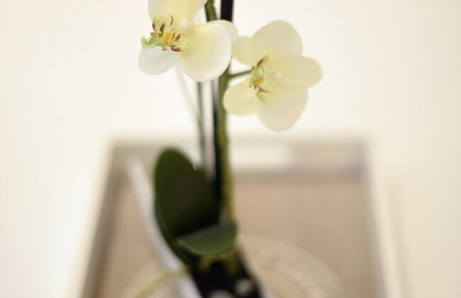 Lumi Primorska - Bright & Peaceful Courtyard Apartment - Foto 60