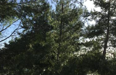 Belvedere Zakynthos Studios - Foto 18