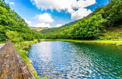 Garden Suburbs Cottage - Foto 10