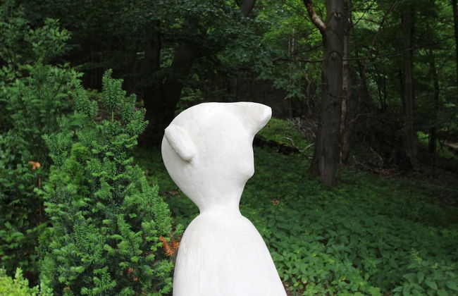 Apartment Haus am Berg, Lonau - Foto 62