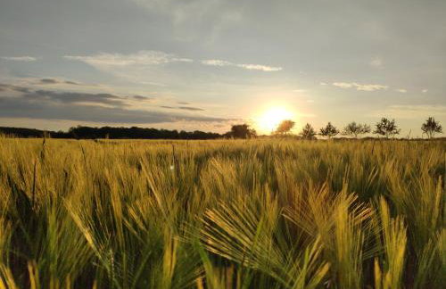 Ferienwohnung Hemer - Foto 30