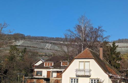 Le Cosy Bus 230 direct Marché de Noël 20min - Foto 5