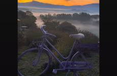 La lavanda di Poppi-mini appartamento - Foto 60