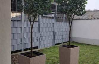 Cozy Appartement - Foto 15