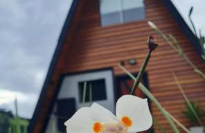 Cabana Mundo Novo - Photo 49