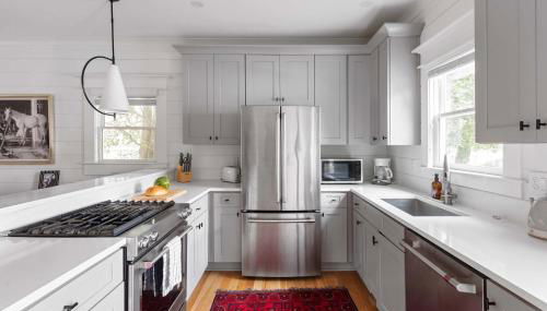 Best in Show - Foto 4