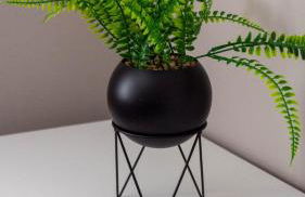 Colinsburgh House - Foto 29