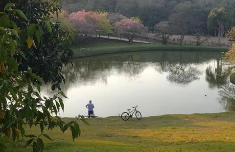 Natureza, paz no sítio - Foto 26