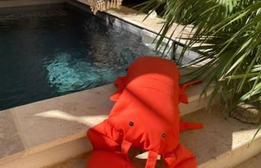 La Maison du Trident en Camargue Piscine et Jacuzzi - Foto 32