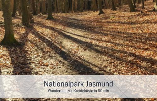 BUDDE4 Fewo Katja - Early Check-in, extralange Betten 220 cm, separates WC - Foto 31