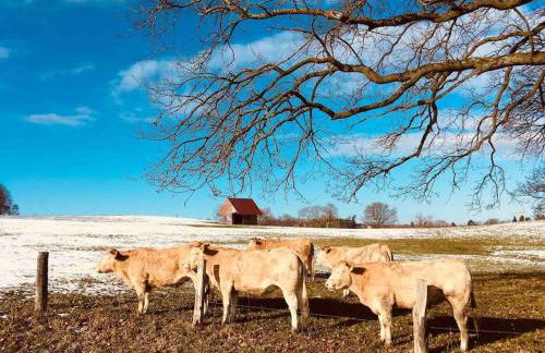 Süße Souterrain-Wohnung mit Anbindung nach Münster - Foto 9