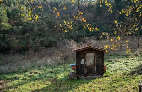 Il Capriccio del Papa - Foto 76