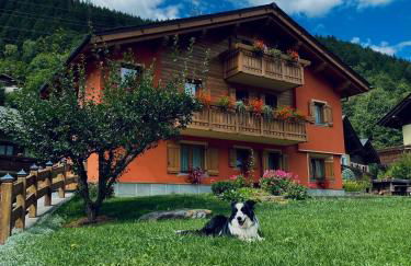 Casa Clus Bormio apartments 2 - Photo 29