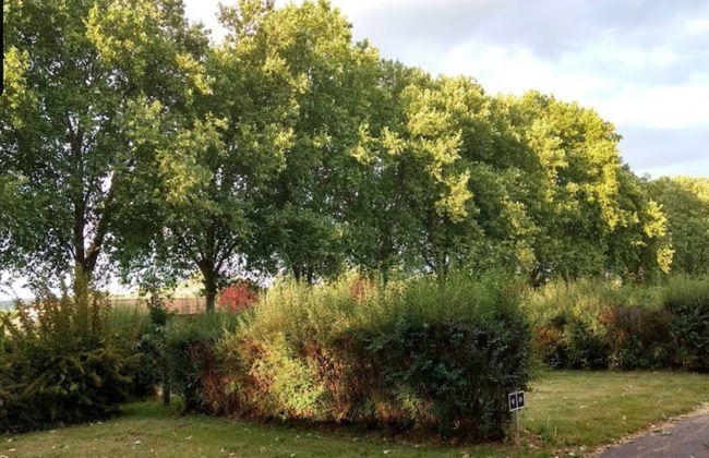 Apartment in Gorlitz With Historic Charm - Foto 18