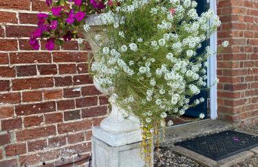 Waterside, Elmham Watermill, Norfolk - Foto 20