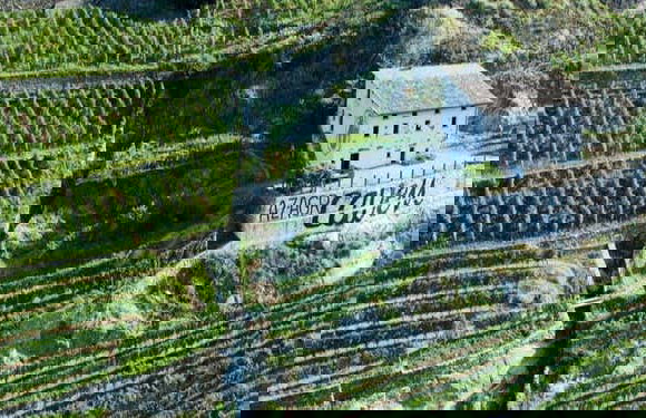 Degustazione di vino a Chiuro - Foto 1