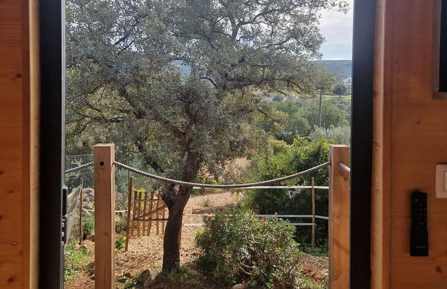 Tiny House & Horses Hébergement Atypique à Loulé - Foto 17